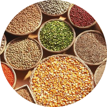 Millets